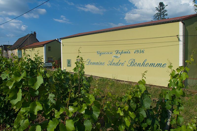 Domaine André Bonhomme à Viré Clessé